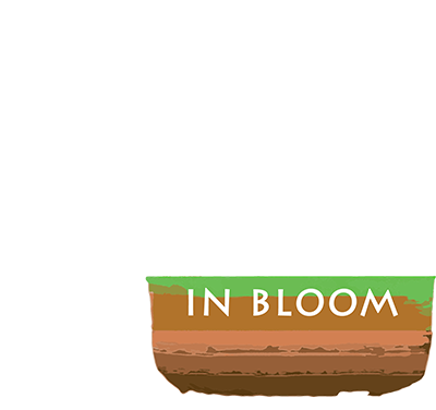Halesworth in Bloom