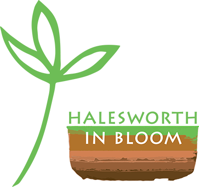 Halesworth in Bloom